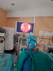 d89e4693 4795 414e a91b e0f8e210cd51